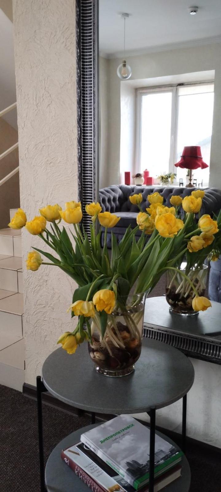 Шляпа Hotel Dnipro Eksteriør billede